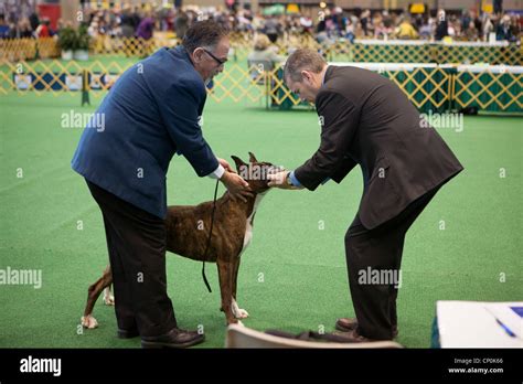 akc judge richard miller|russian kennel club judges.